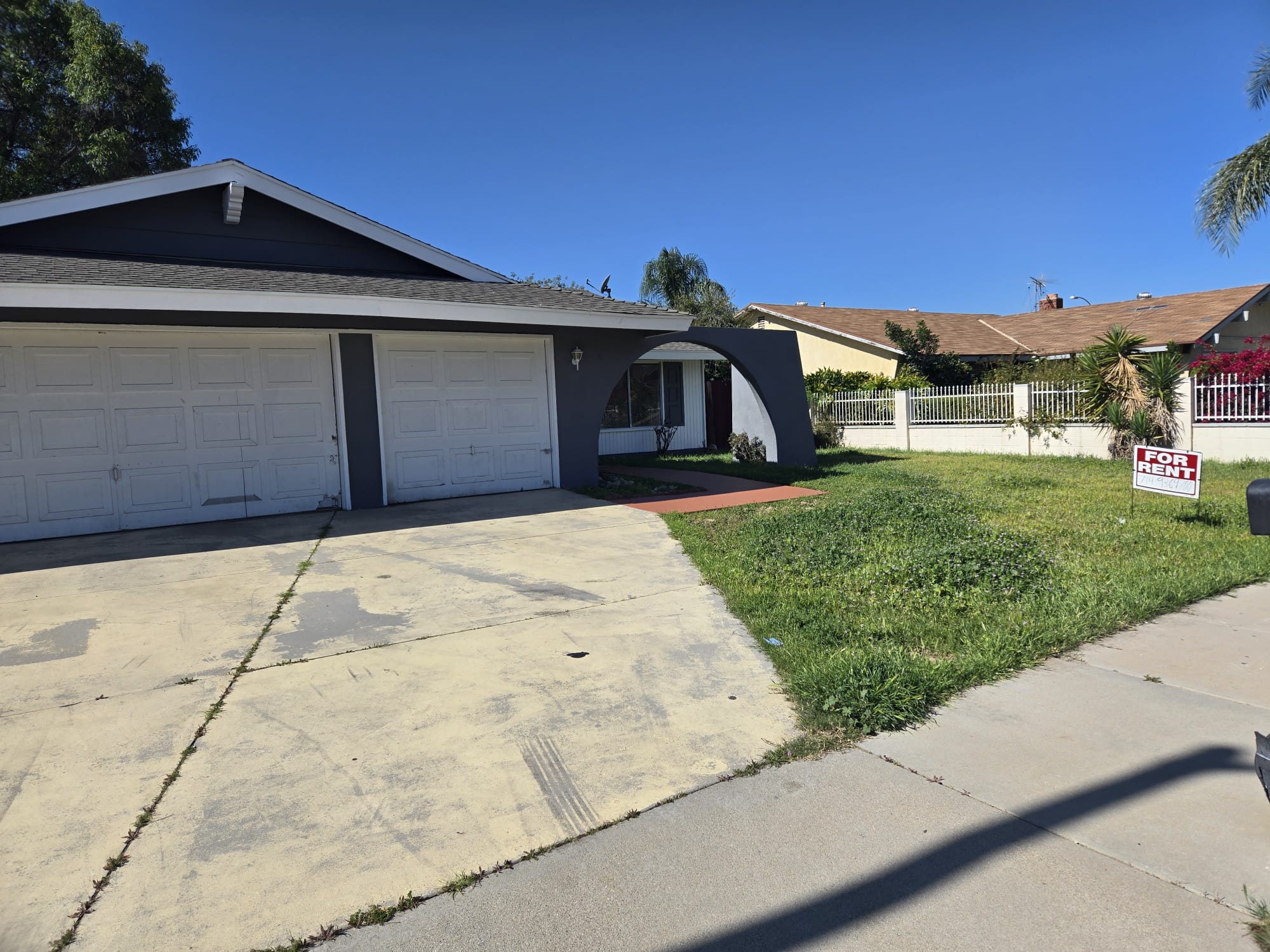 Morneo Valley Thunderbird